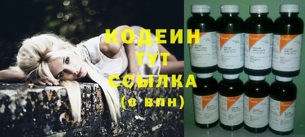 мдпв Ладушкин