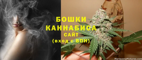 мдпв Ладушкин