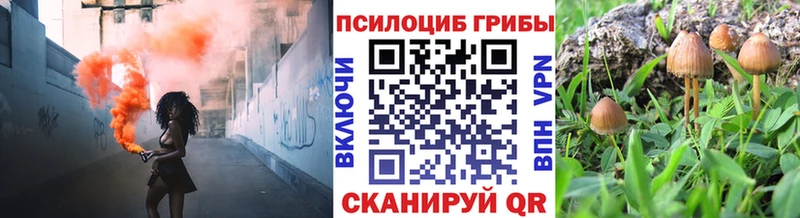 Галлюциногенные грибы прущие грибы  Малгобек 
